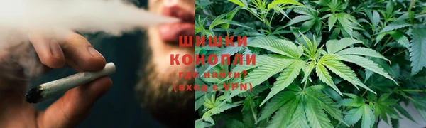 PSILOCYBIN Богородск