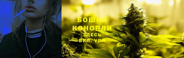 PSILOCYBIN Богородск